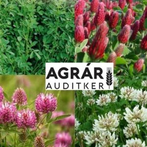 Pillangós zöldugar (AKG-ban és feltételességben elszámolható) [25kg/zsák]